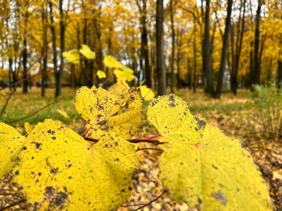 Синоптики предупредили об аномальной продолжительности дождей в этот день