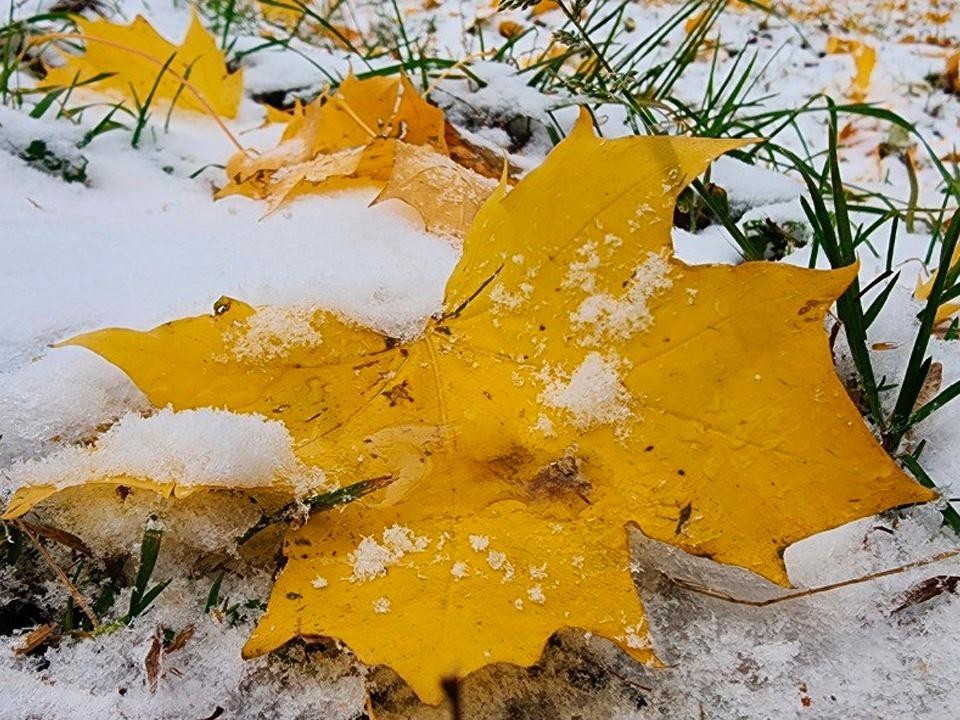 Стало известно, когда первый снег накроет Лосино-Петровский