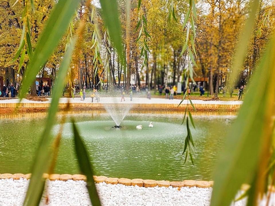 Аномальная осень с температурой на 3 градуса выше нормы держит тепло в Подмосковье