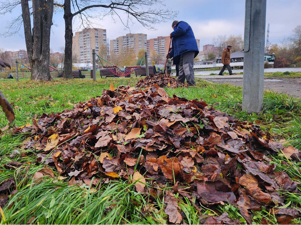 В Лобне заканчивают уборку листвы: скоро дворники перейдут к борьбе со снегом и гололедом