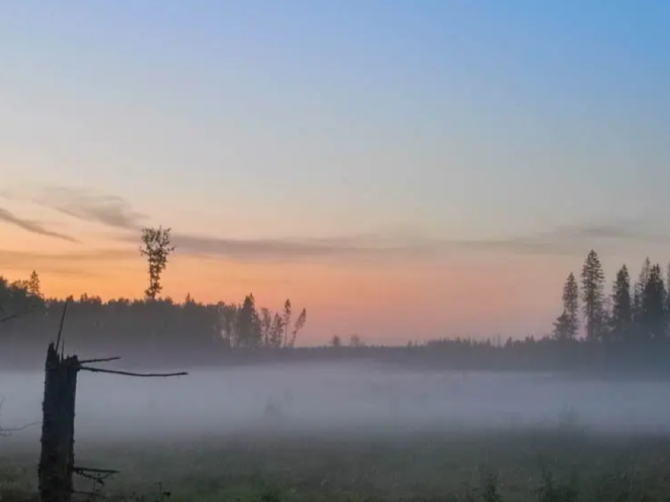 Морозь и туман: каких сюрпризов ждать от погоды на выходных