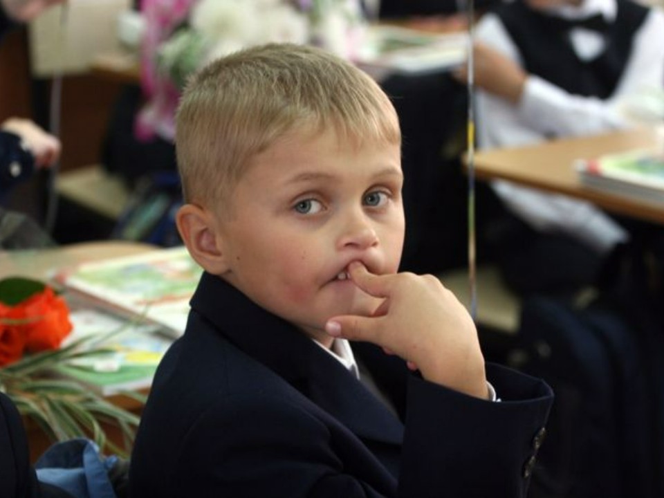 Родителей шестилетних школьников резко раскритиковали