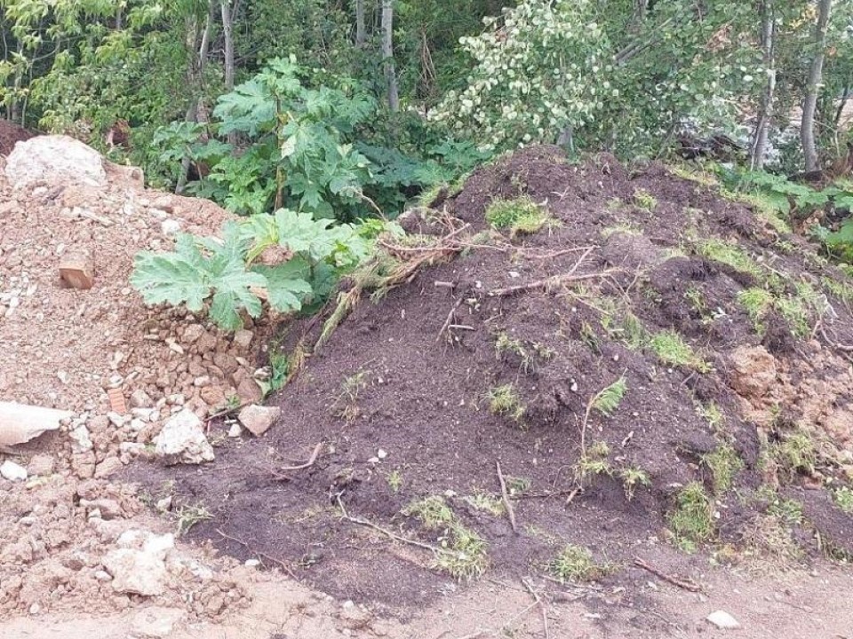 Экологический рейд в Чашникове: кто загрязняет Мещериху? Экологи поймали нарушителя в Химках