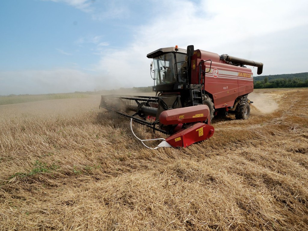 Рекордный урожай: аграрии Ступина добились роста урожайности зерна почти на треть