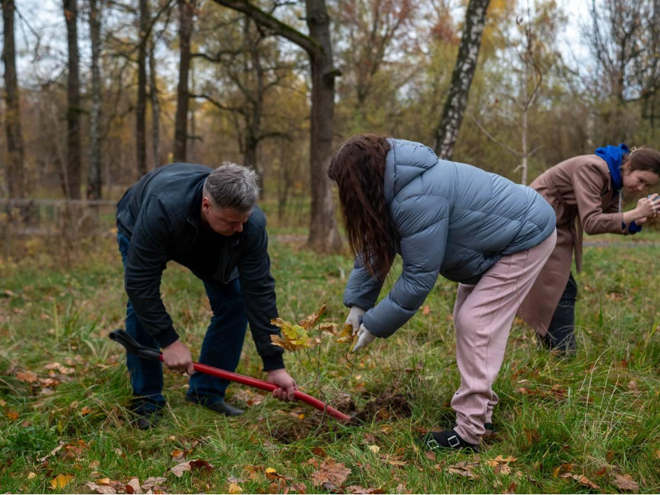 Деревья высадили во Фрязинском лесопарке в честь Дня отца