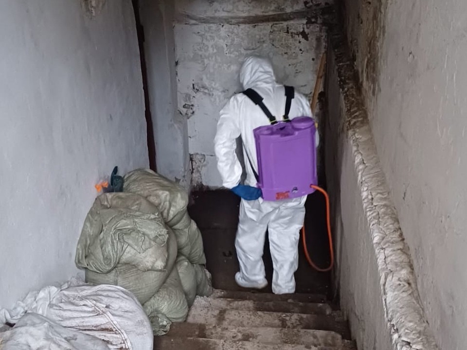 Во Фрязине продолжают бороться с маленькими усатыми вредителями