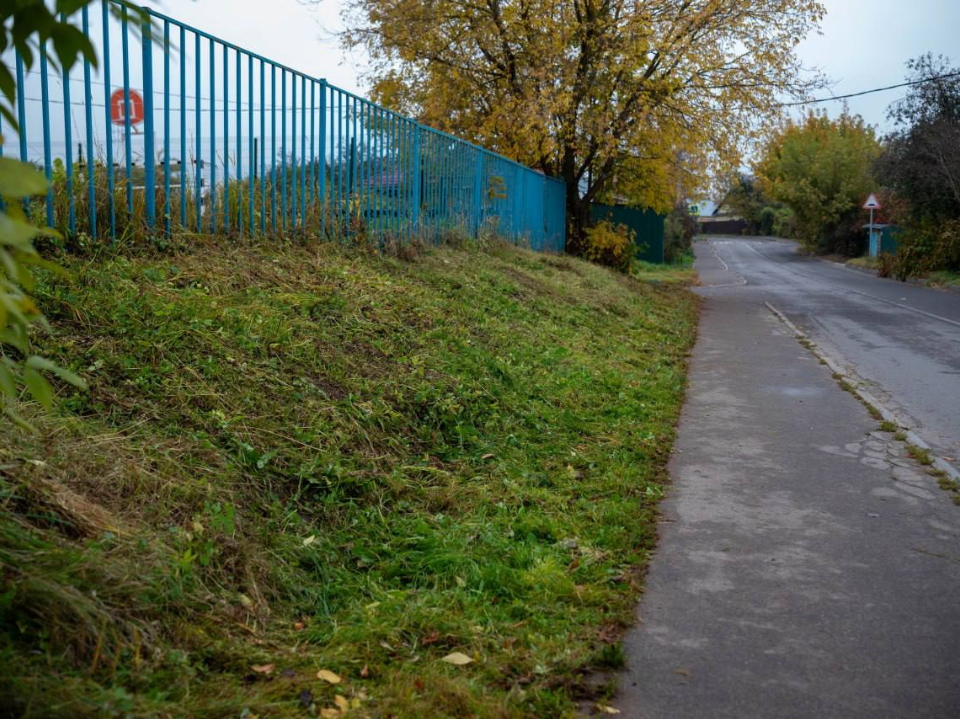 Во дворе на проспекте Мира покосили газон по просьбе жителей