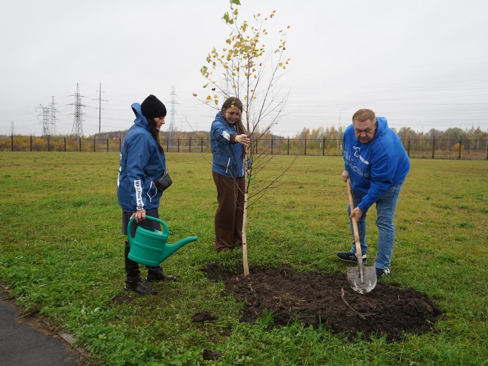 Лицеисты Шатуры высадили березовую аллею ко Дню отца
