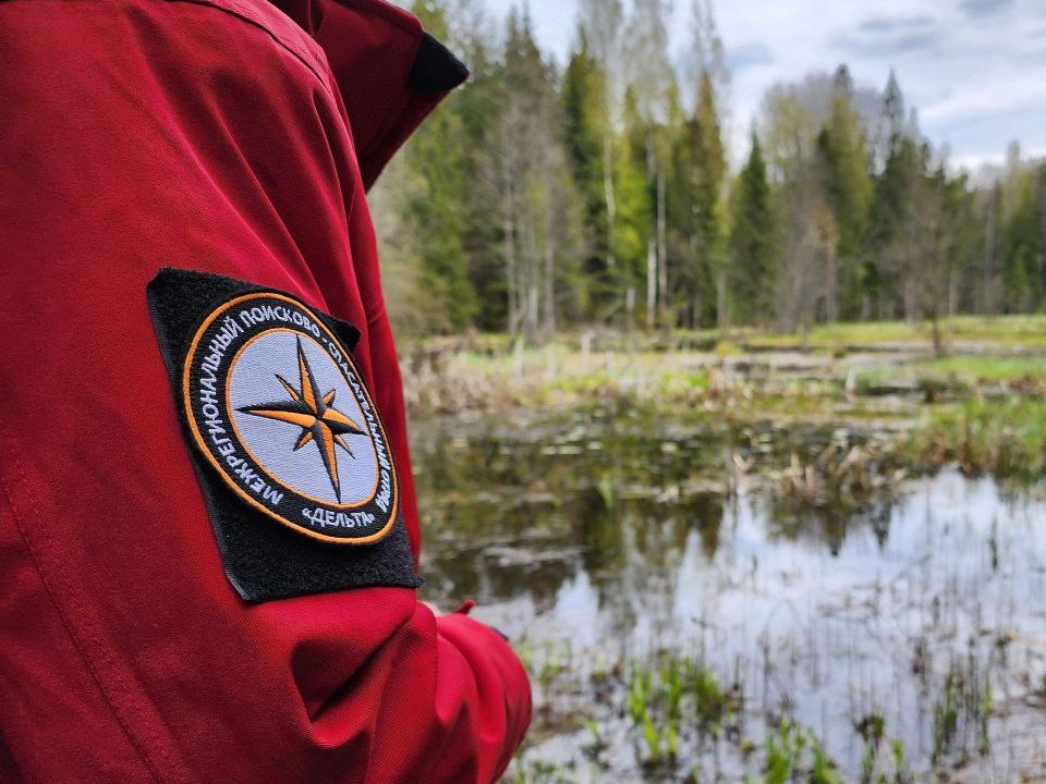 В Домодедово ищут Ирину Дроздову — на помощь зовут добровольцев 13 сентября