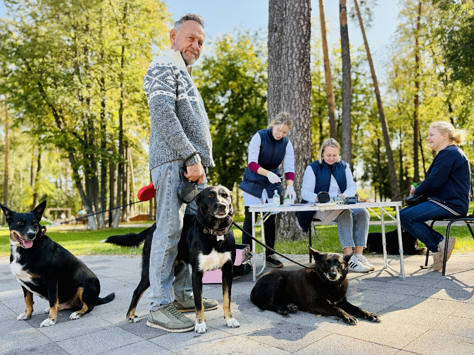 Где и когда будут вакцинировать животных выездные специалисты ветслужбы