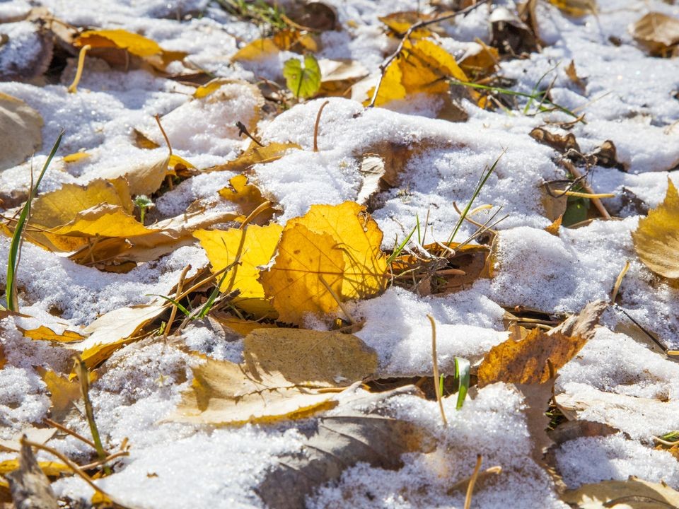 Зимняя погода нанесет удар в эти даты: точный прогноз холодов от синоптиков для Подмосковья