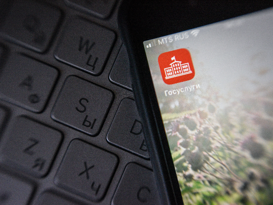 Нужна поддержка — подай заявку: в Подмосковье упростили получение статуса нуждающегося в соцобслуживании