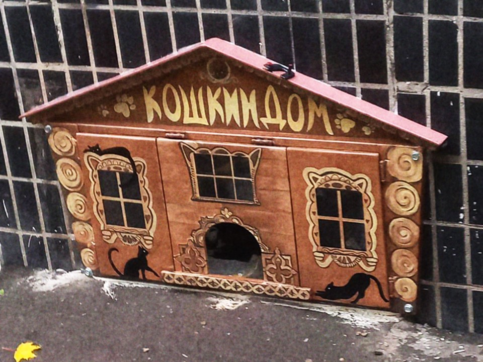 «Кошачий парадный вход» в подвал многоэтажки открыли в Заречье