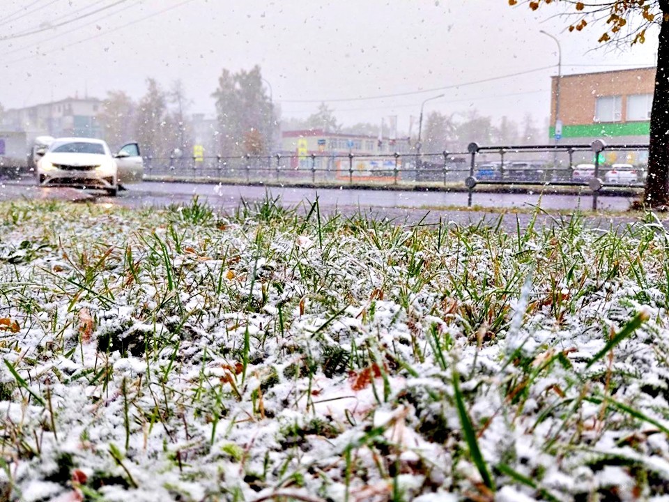 Талдом накроет снежная буря и ливни из-за циклона 13 октября