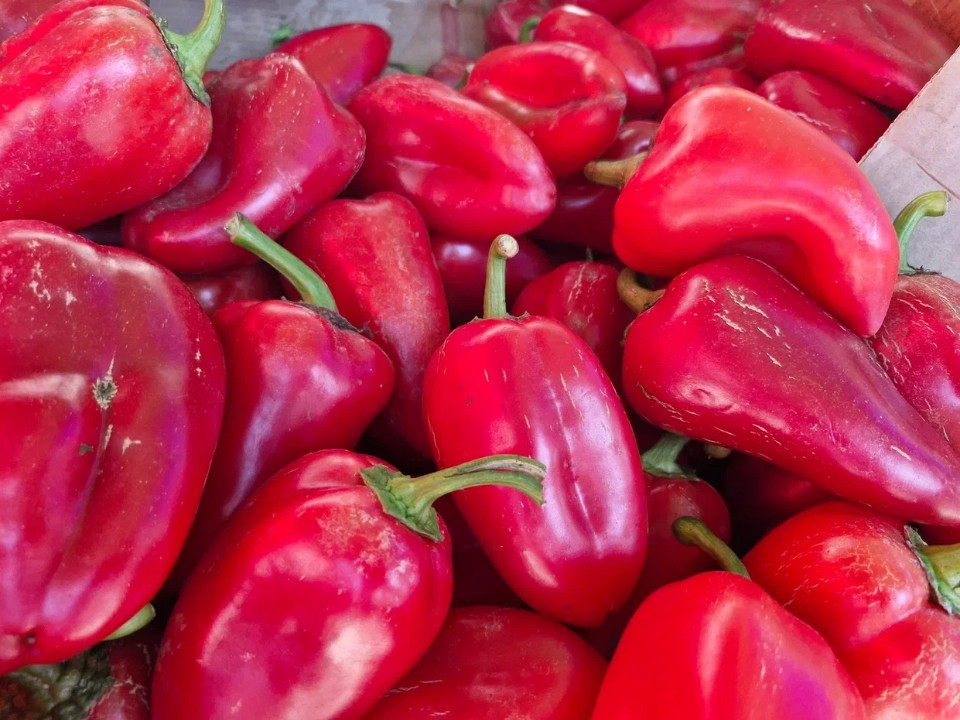 Какие перцы посадить, чтобы хвастаться урожаем у начале лета: три сорта, которые не подведут