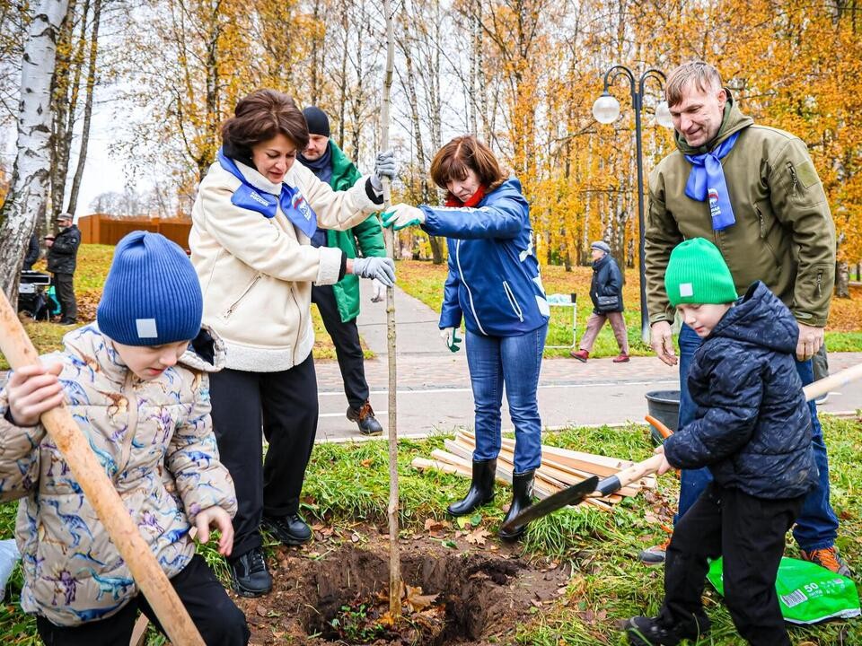 Аллею кленов высадили в Сестрорецком парке