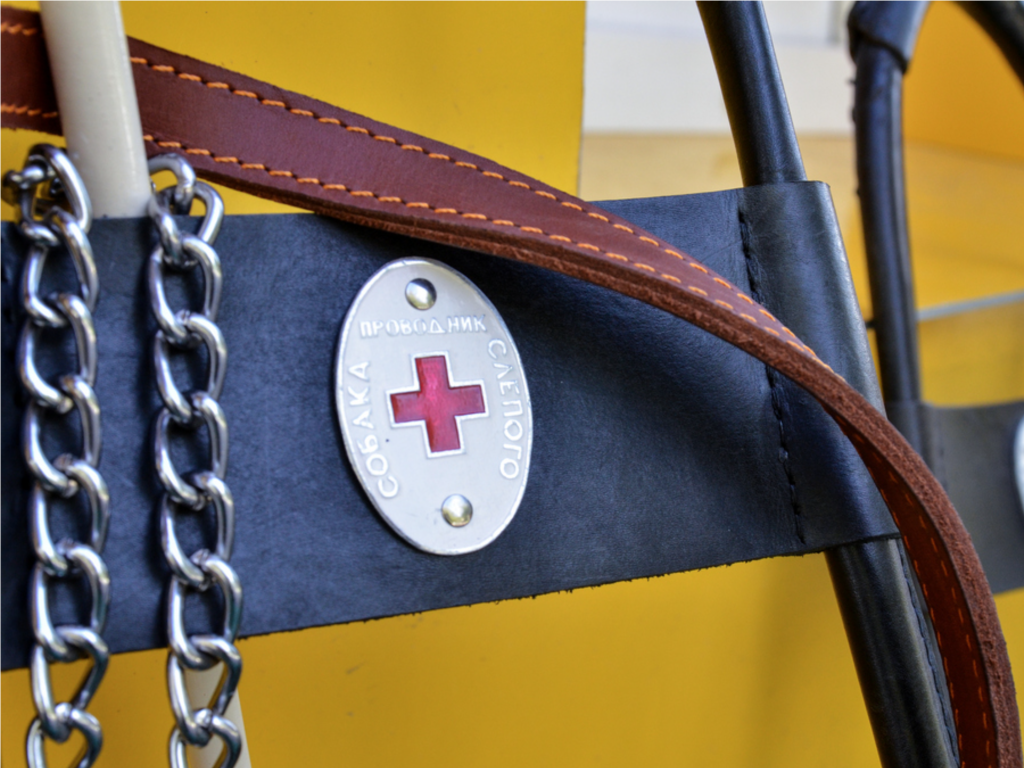 Встреча в День белой трости подсветила потребности слабовидящих мытищинцев