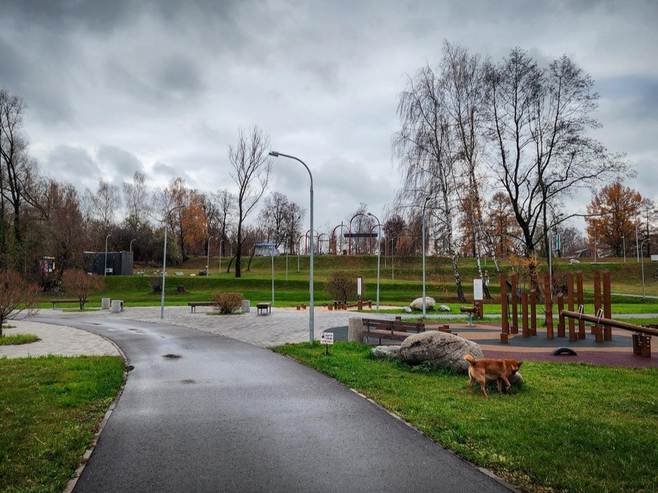 Арт-классы, конкурс рисунков и концерт: что ждет на «Бронницком лугу»  в ноябрьские праздники