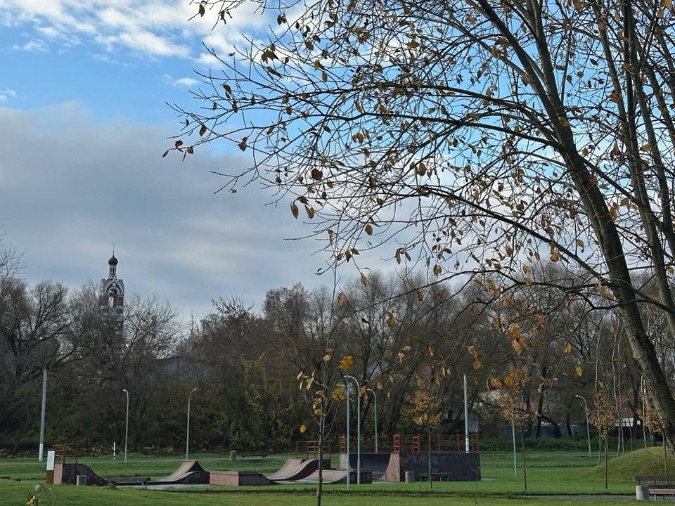 Стала известна программа Дня народного единства на «Бронницком лугу»