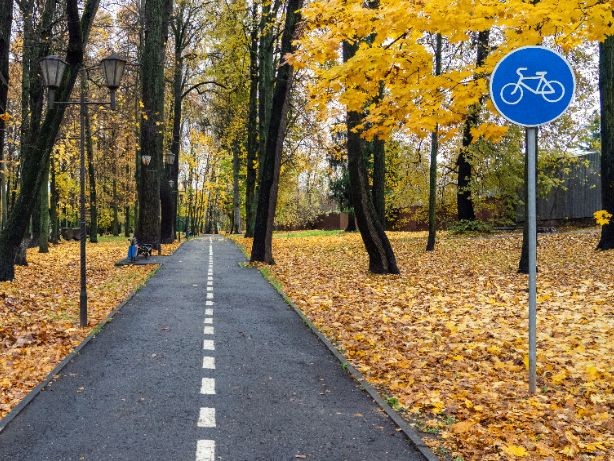 Велодорожку до Звездного городка в Лосино-Петровском достроят до конца года