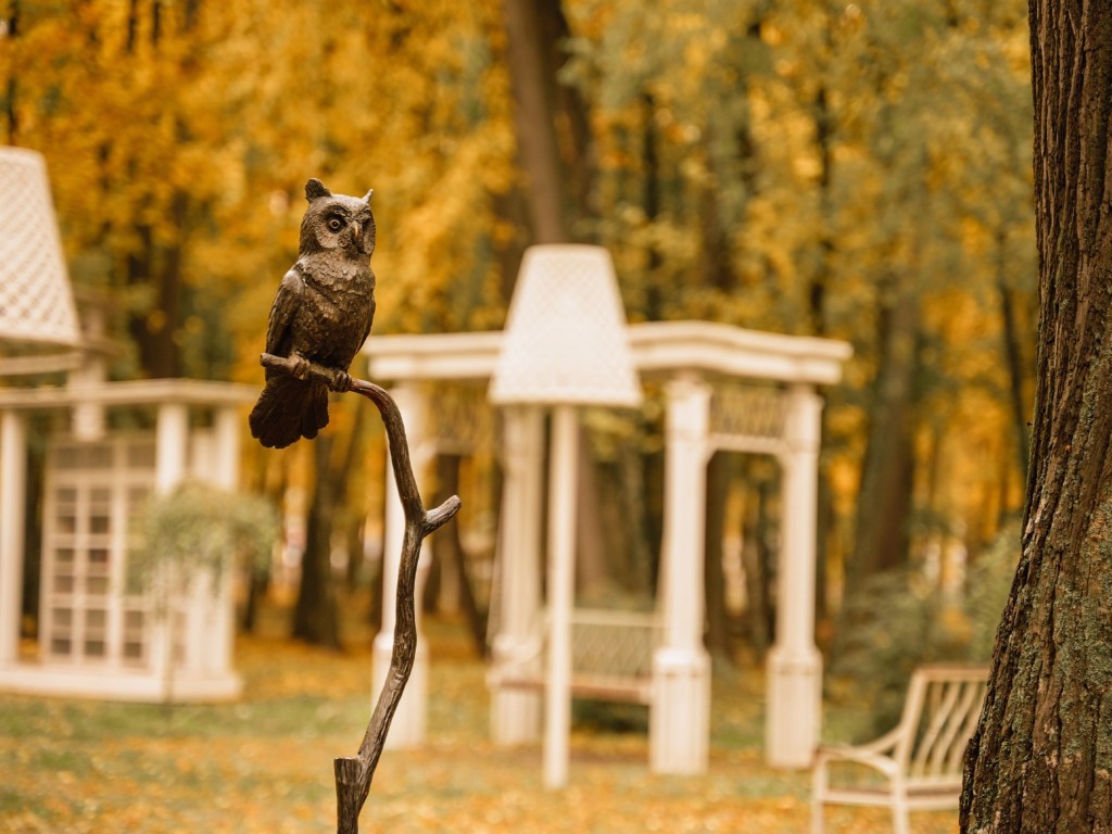 Воскресенцам рассказали, какое значение имеют скульптуры птиц в парке усадьбы Кривякино