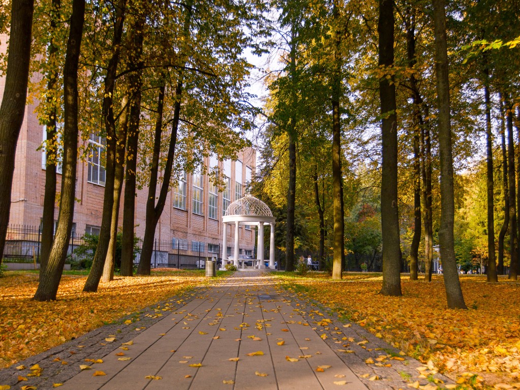 Парк усадьбы Кривякино временно закроют из-за технических работ