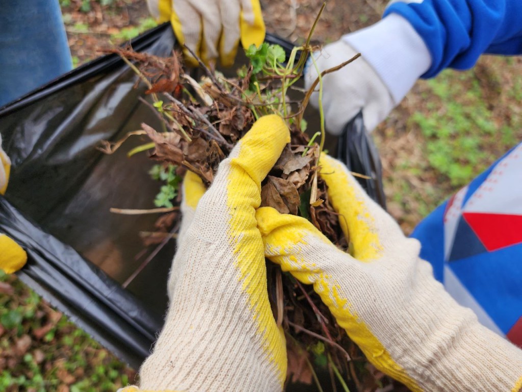 Жителям Солнечногорска объяснили, почему листья убирают только с дорог и тротуаров