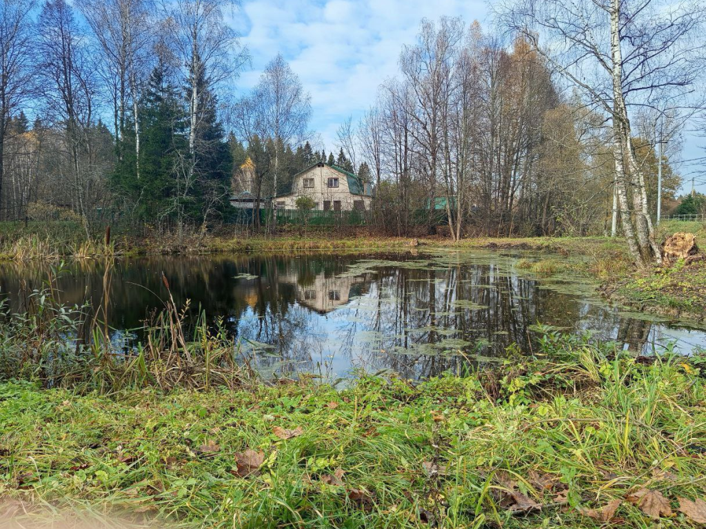 Пожарный пруд в Семенкове очистили от мусора