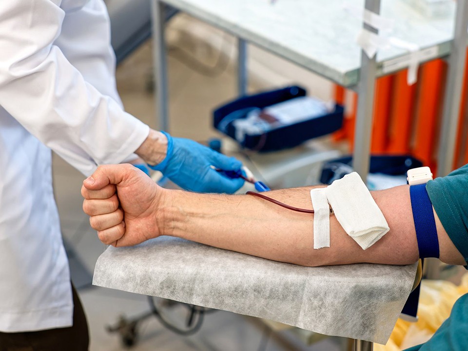 Как подготовиться к сдаче крови: советы врачей перед Донорской субботой в Одинцове