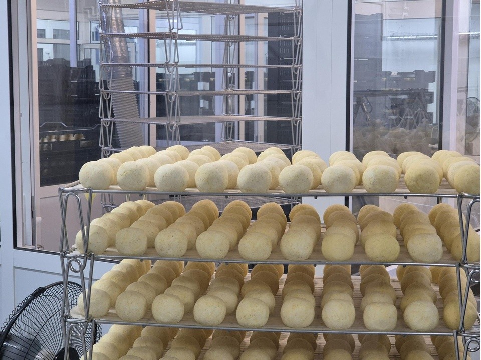 Уникальные сыры выпускают в Орехово-Зуеве