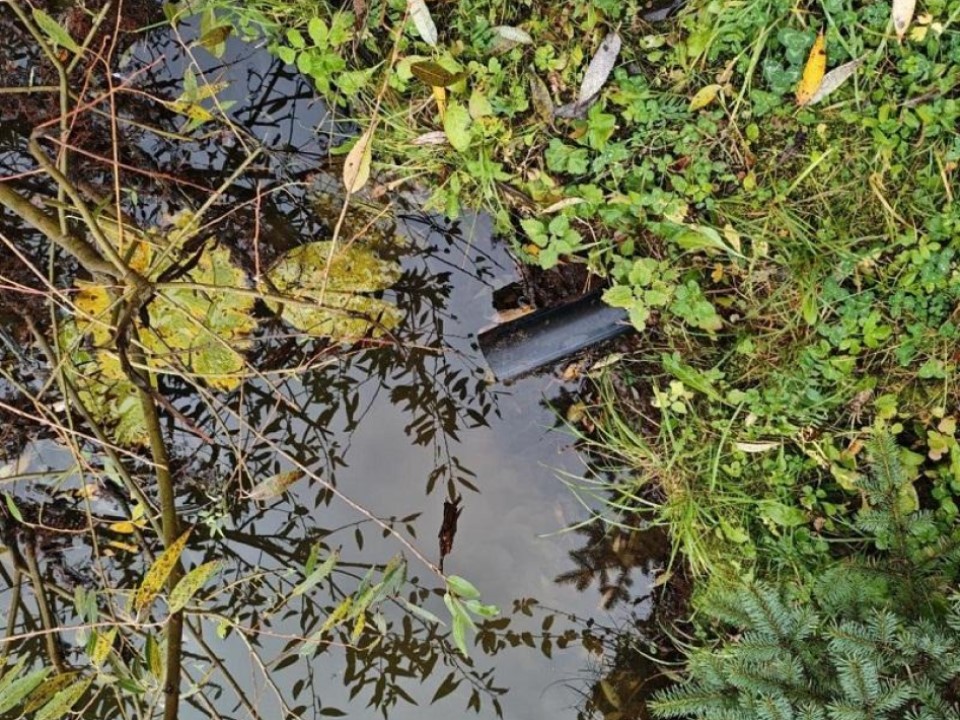 «Копейка» рубль бережет, а кто‑то — нет: в Подмосковье поймали «водопользователей» без разрешения — подробности скандала у пруда с денежным названием