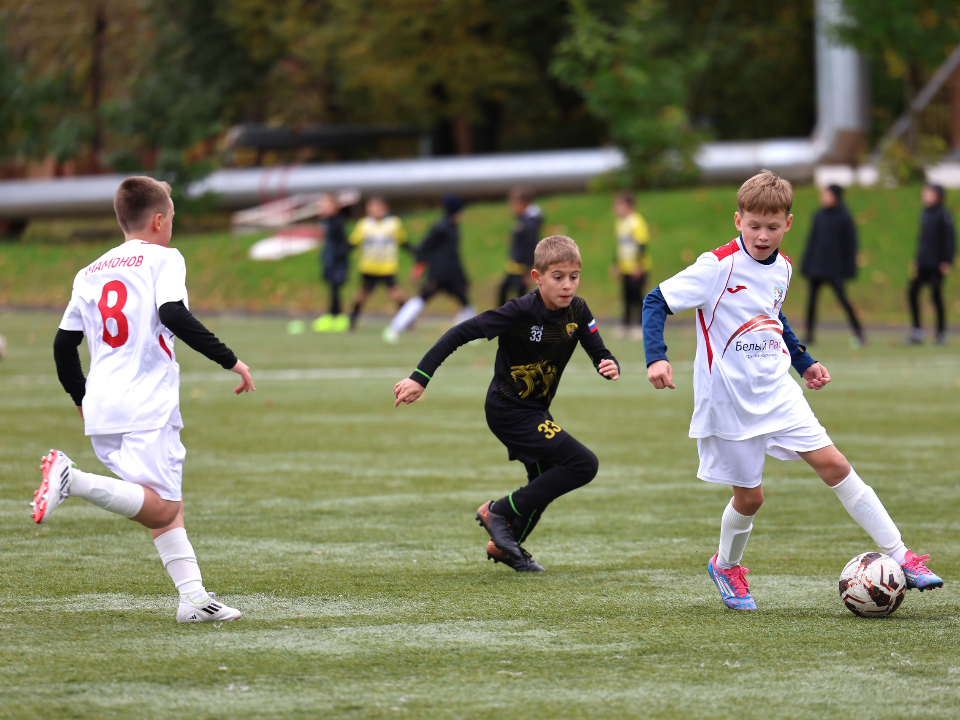 Детские футбольные команды из Дмитрова завоевали медали областного первенства