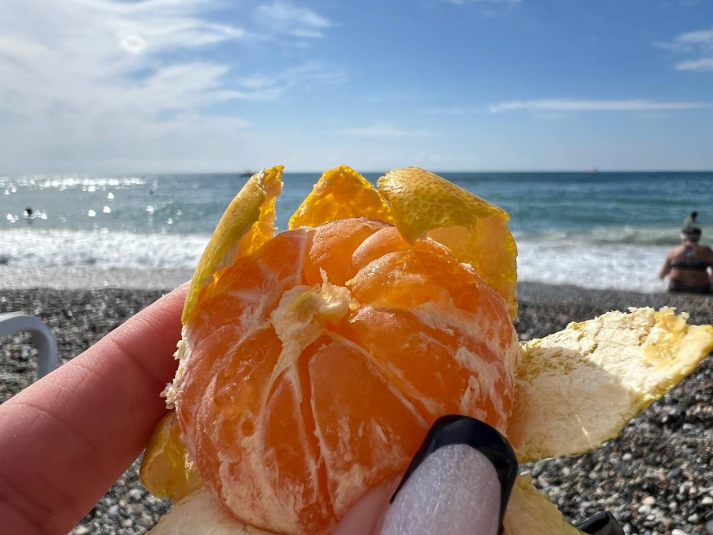 Загорать в ноябре: 7 направлений для недорогого отпуска до ₽40 000 рублей в конце осени