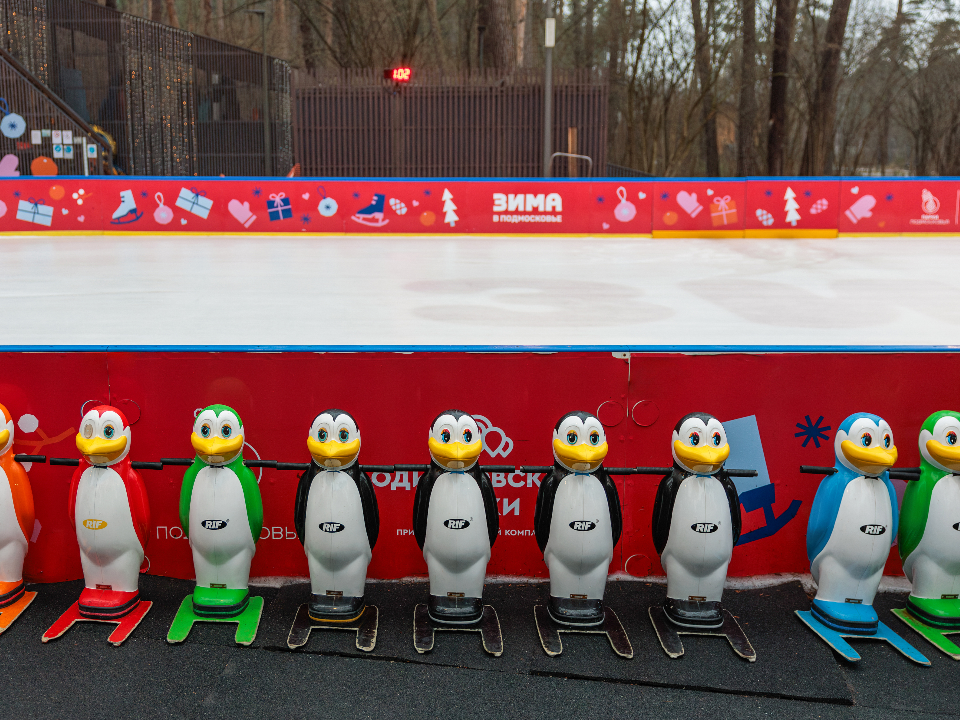 В Люберцах ищут подрядчика для обустройства ледового городка на улице Звуковой