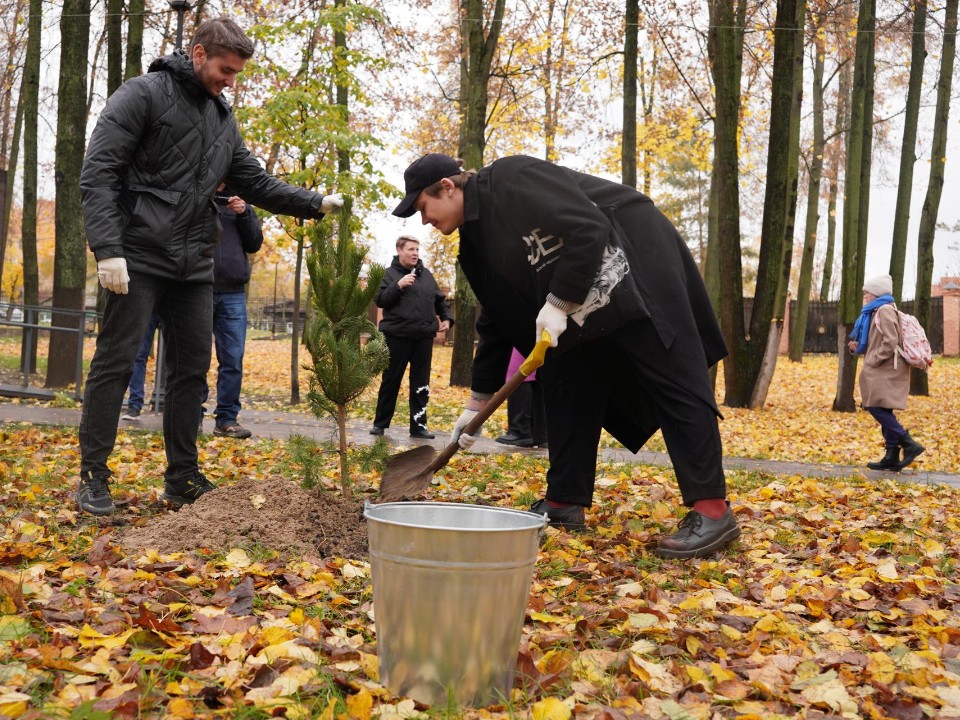 Аллею Медиацентра высадили в Раменском парке