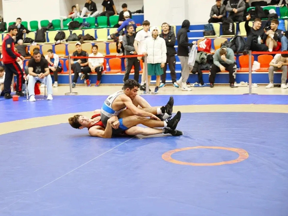 Всероссийский турнир по вольной борьбе прошел в Мытищах