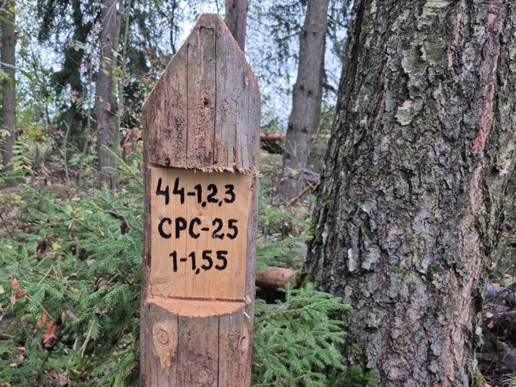 У Большого Алексеевского началась санитарная рубка леса