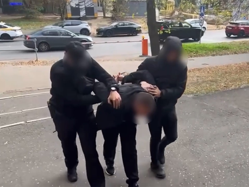 Не первый случай? Что известно о мужчине, который пытался похитить девочку в Балашихе