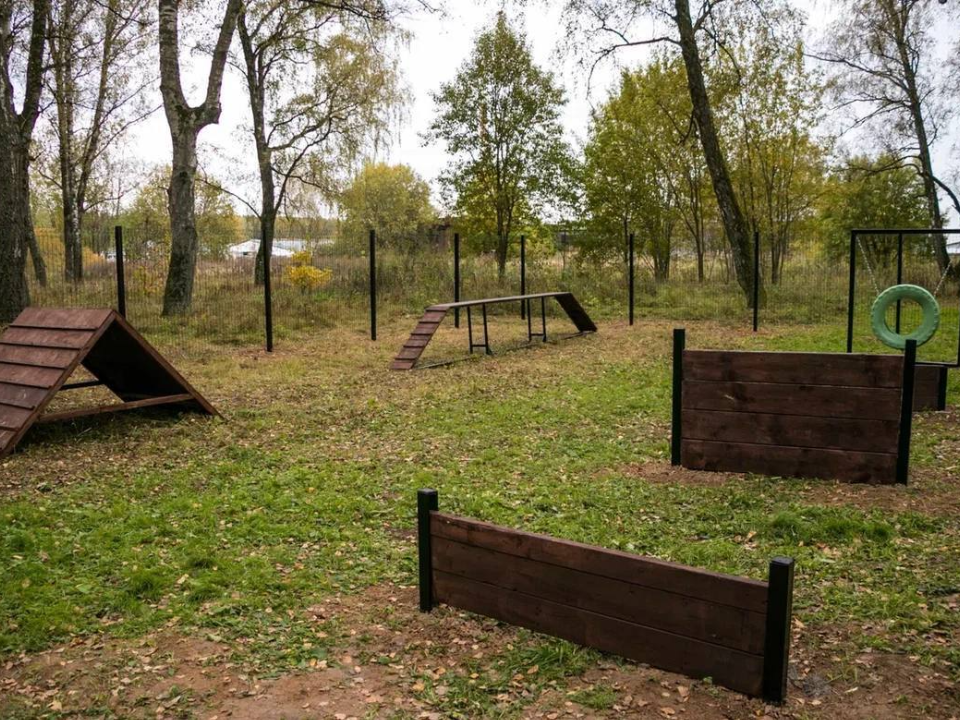 В лесопарке «Гальчино» открыли специализированную площадку для выгула собак