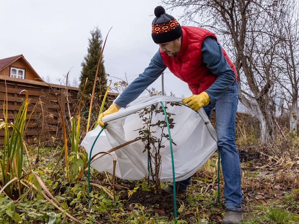 Неустойчивая погода с низким давлением и дождями накроет Подмосковье 25 октября