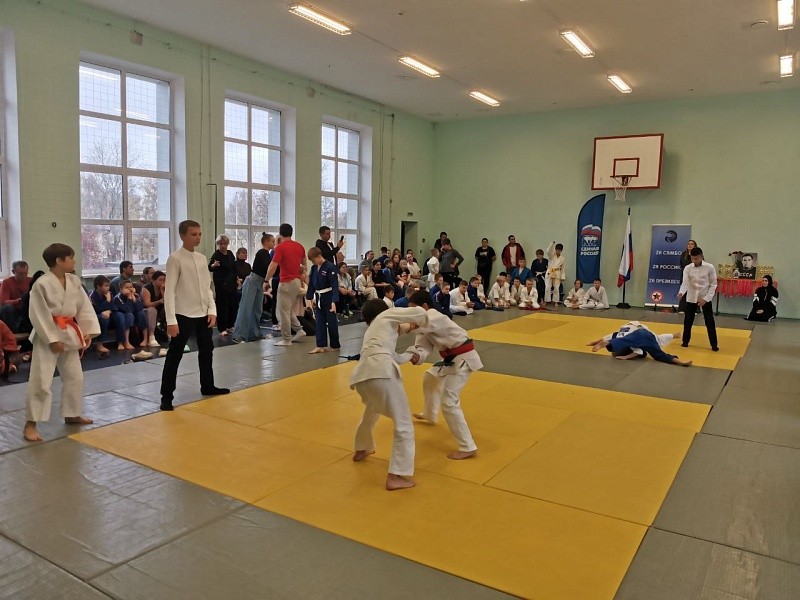 Турнир по самбо в честь олимпийского чемпиона Анатолия Парфенова провели в Воскресенске