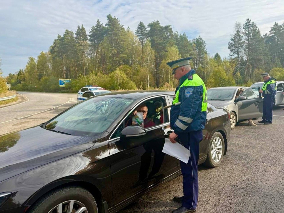 В Орехово-Зуеве провели массовую проверку водителей