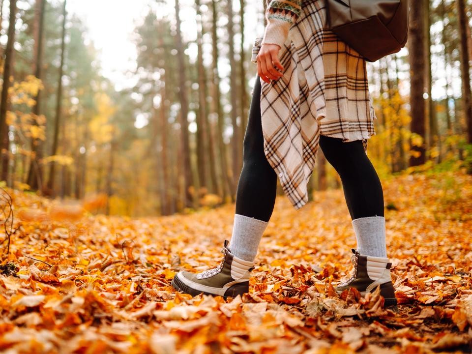 Жителей приглашают выбрать самые атмосферные осенние фотографии парков