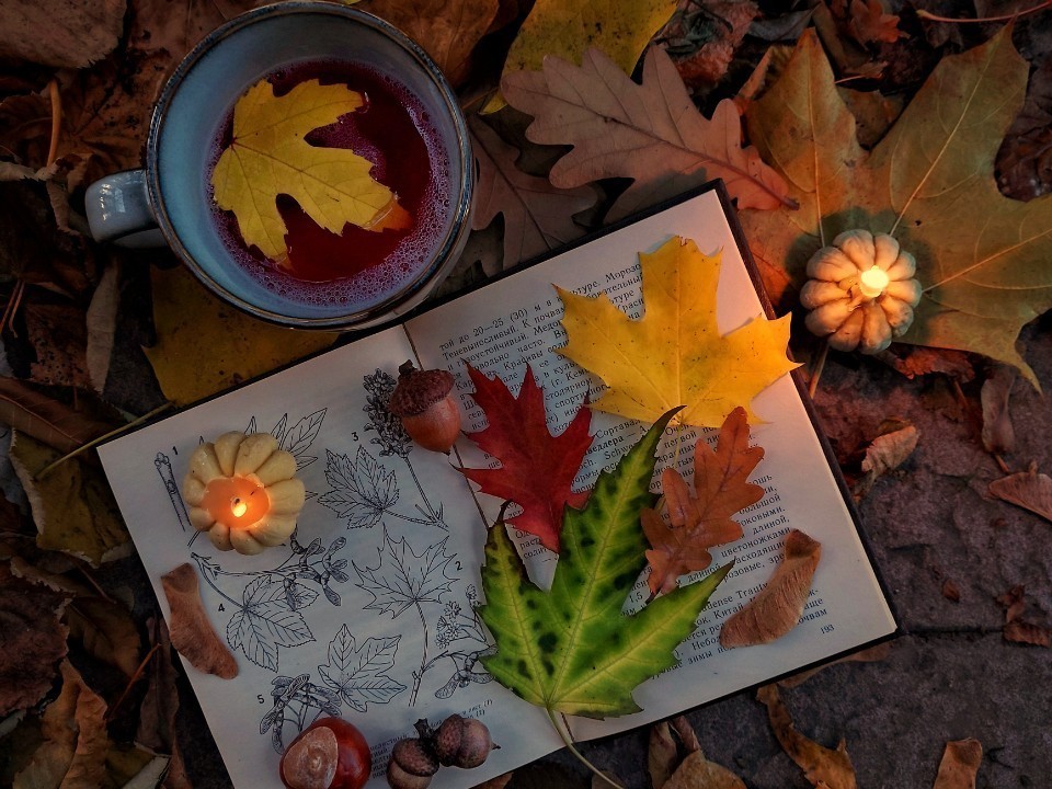 Гороскоп на 2 ноября 2025: прогноз для всех знаков зодиака на любовь, деньги и здоровье