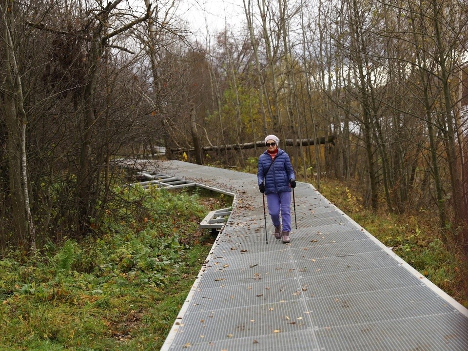 Летний сезон-2026: новую пляжную зону строят на озере Сенеж с удобным спуском к воде