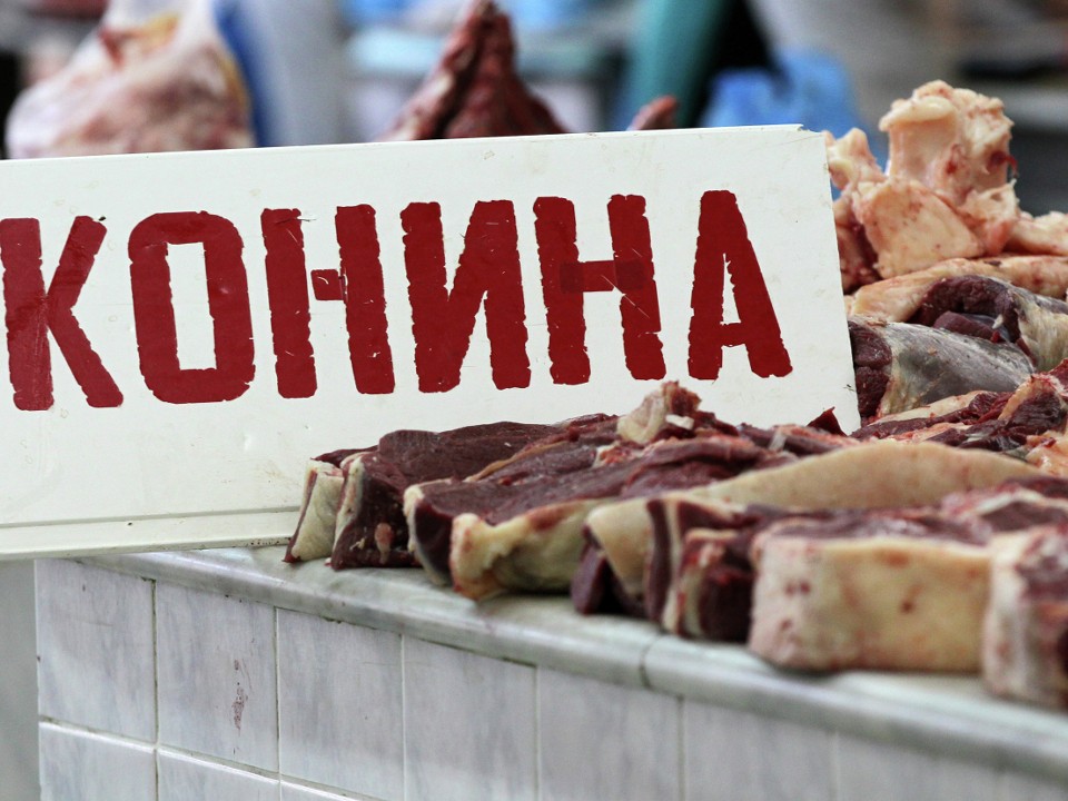 Где в Подмосковье купить конину: сколько стоит, кому можно и как выбрать