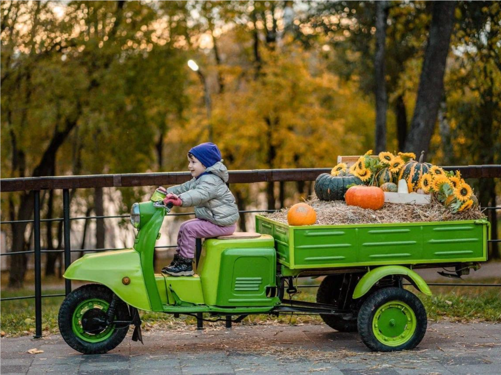 Веселые старты, танцы и мастер-классы пройдут в городском парке с 10 по 12 октября