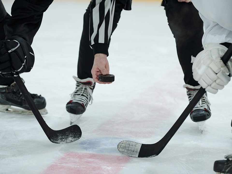 В Дмитрове родилась новая хоккейная команда для участия в НСХЛ