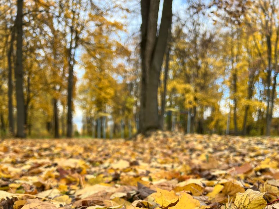 Синоптик Леус: циклон накроет Подмосковье дождями и резким холодом до +3°