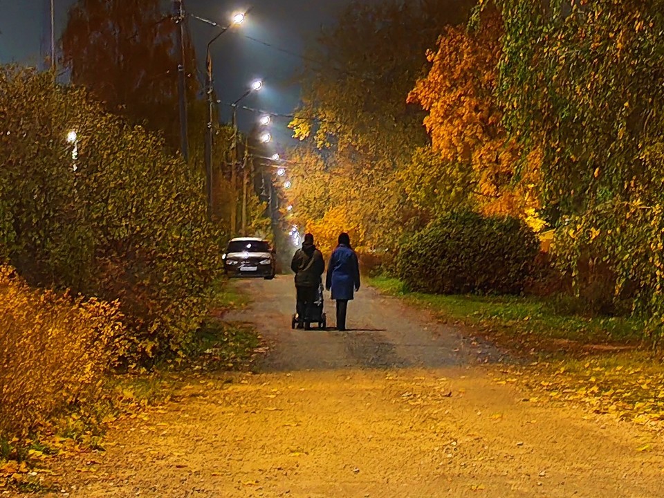 Аномальная осень с теплом на три градуса выше нормы останется в Пушкино